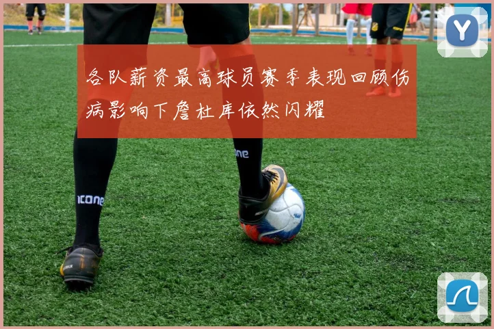 各队薪资最高球员赛季表现回顾伤病影响下詹杜库依然闪耀