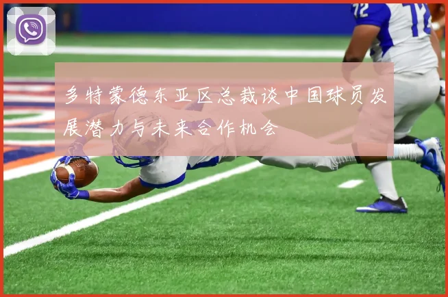 多特蒙德东亚区总裁谈中国球员发展潜力与未来合作机会