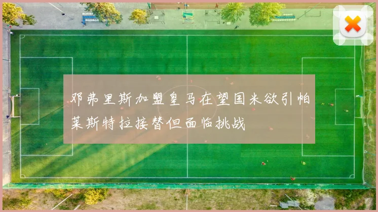 邓弗里斯加盟皇马在望国米欲引帕莱斯特拉接替但面临挑战