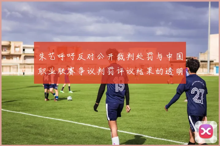 朱艺呼吁反对公开裁判处罚与中国职业联赛争议判罚评议结果的透明化探讨